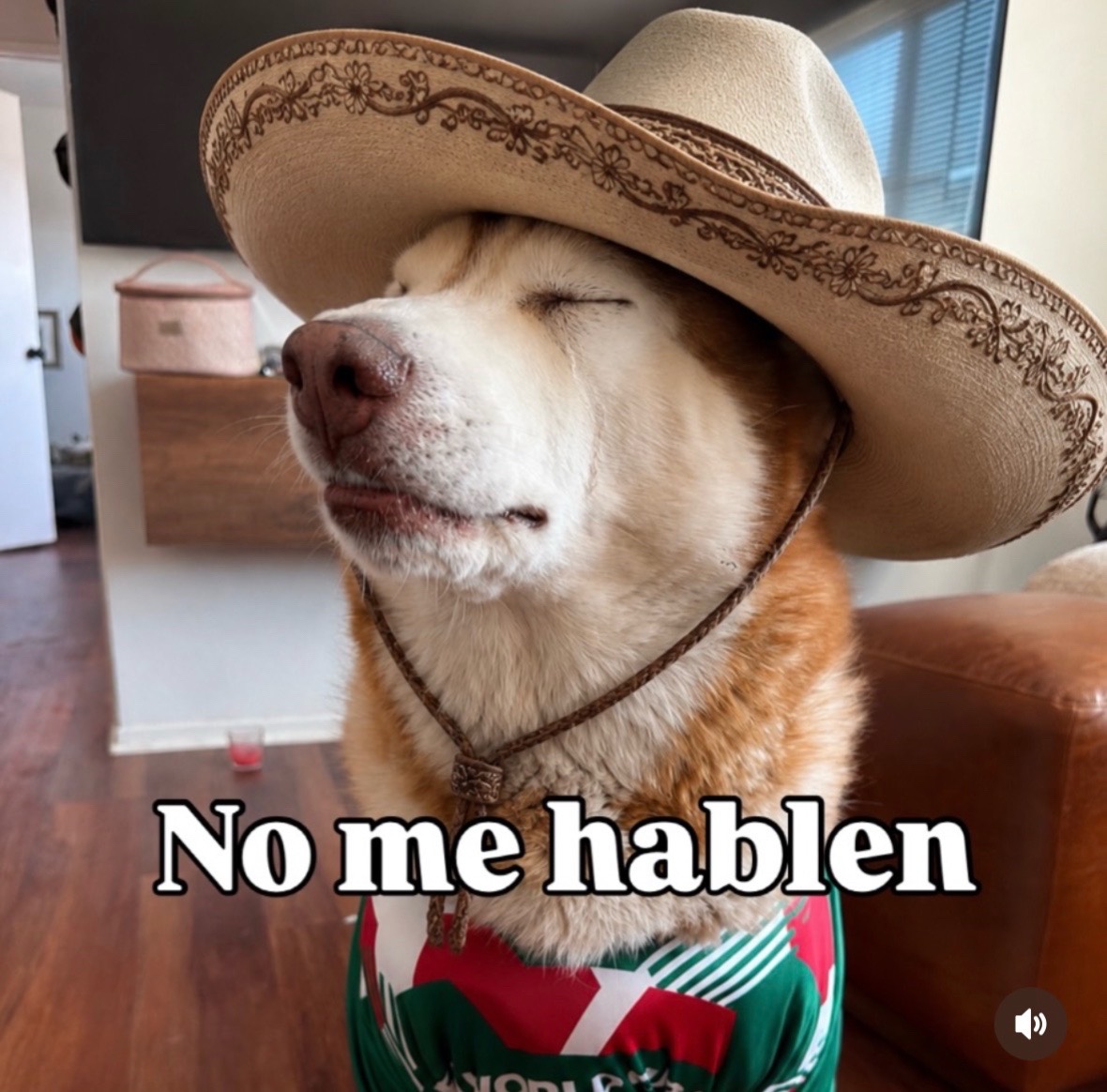 @Stephanie Jaramillo
