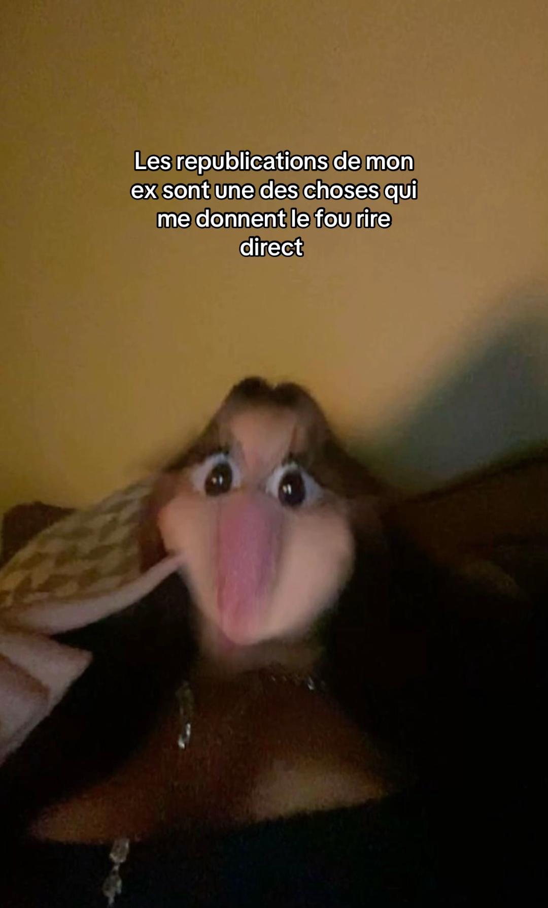 @aesthetic