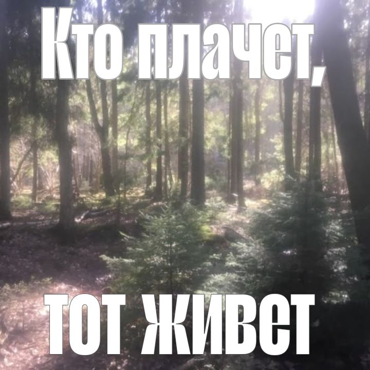 @ILoveMefedron
