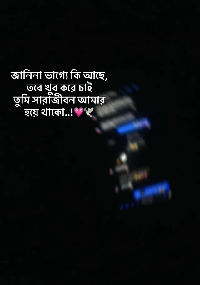 @ᥫ᭡⏤͟͟͞͞ 𐙚-𝐌𝐨𝐌𝐨-❓🦄𓍯
