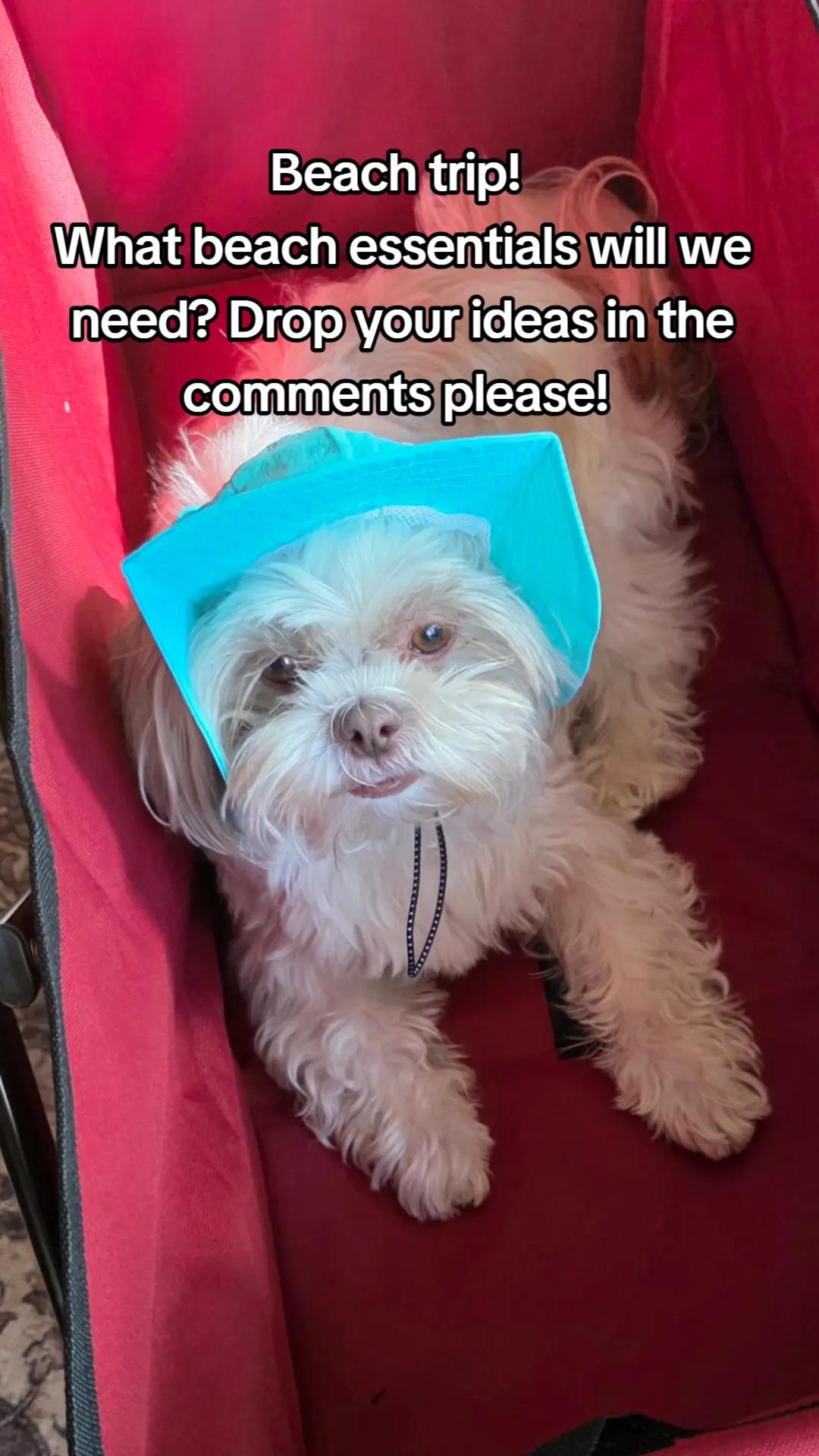 @Little Miss Mollie