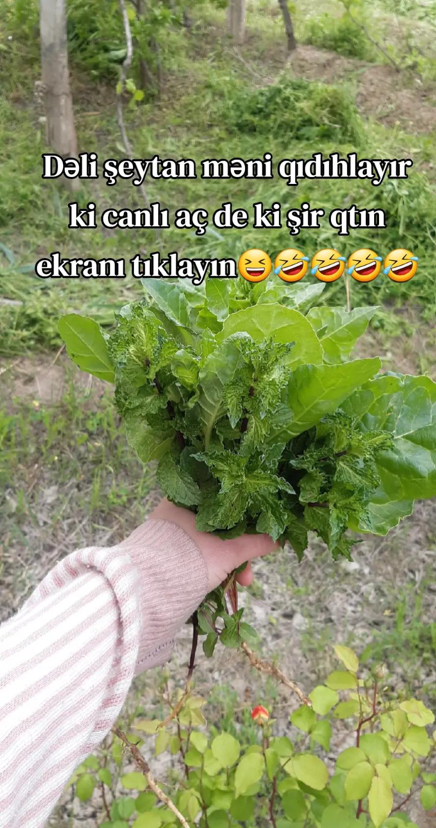 @❤Cabbarova🤍