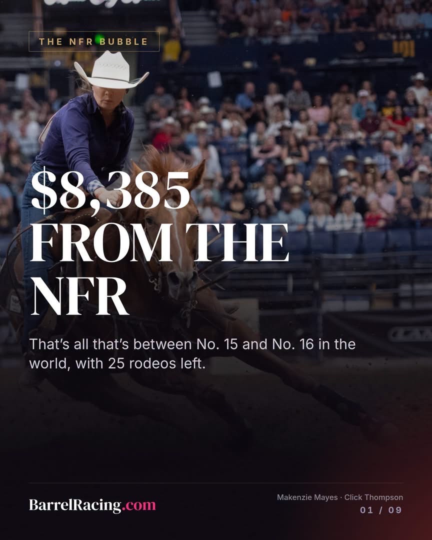 @BarrelRacing.com