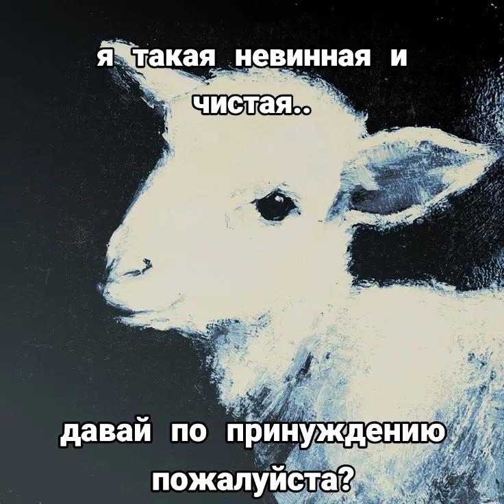 @kaffka