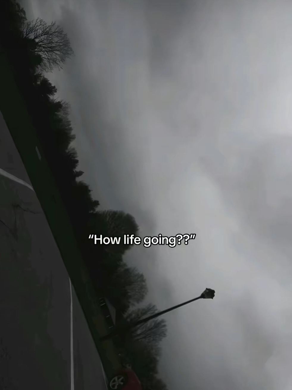 @🕊️