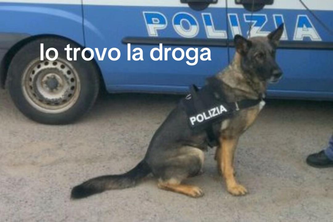 @Giorgia🌸
