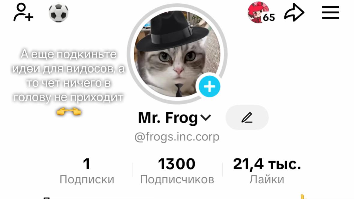 @Mr. Frog