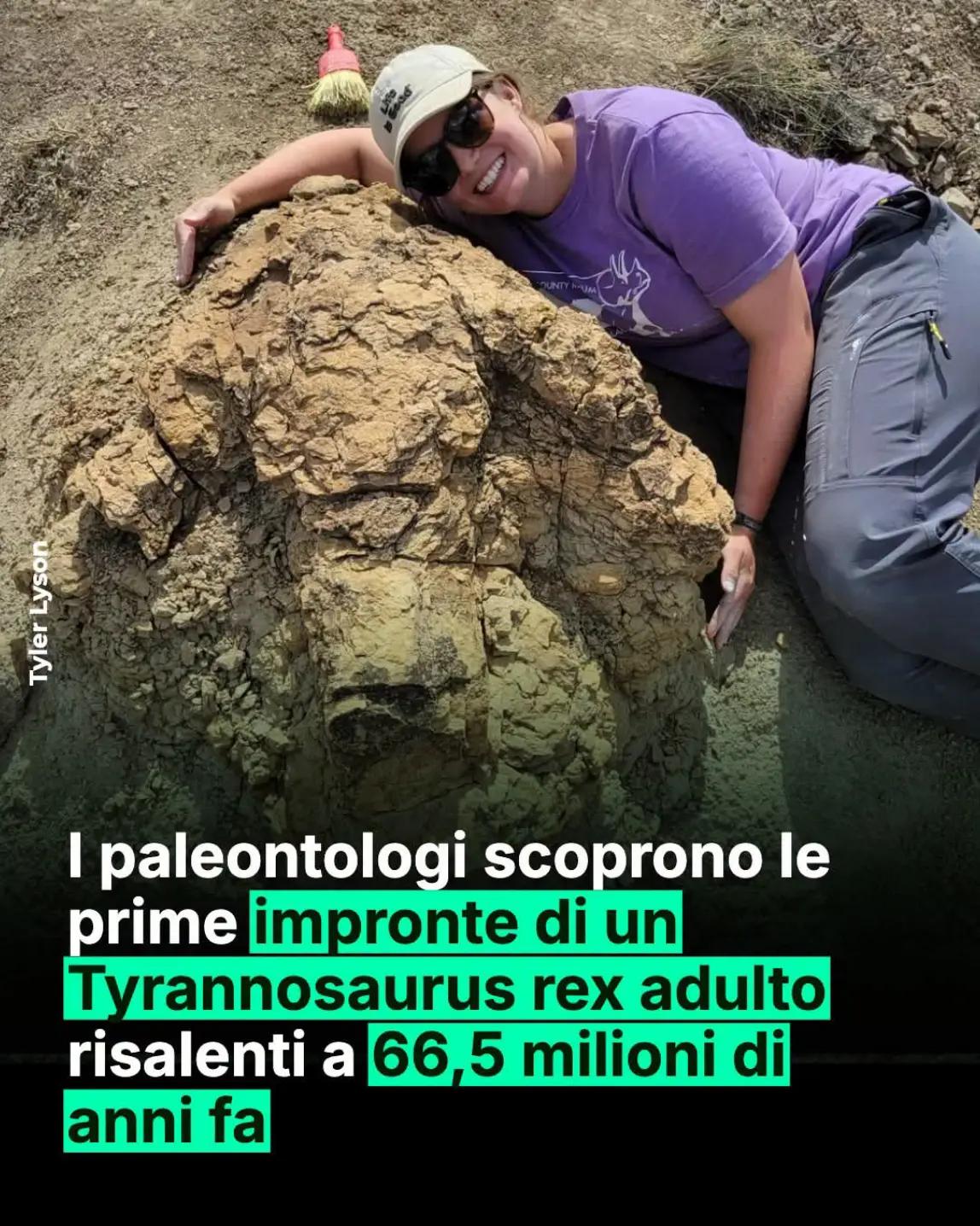 @Massimo salvatore Deiola