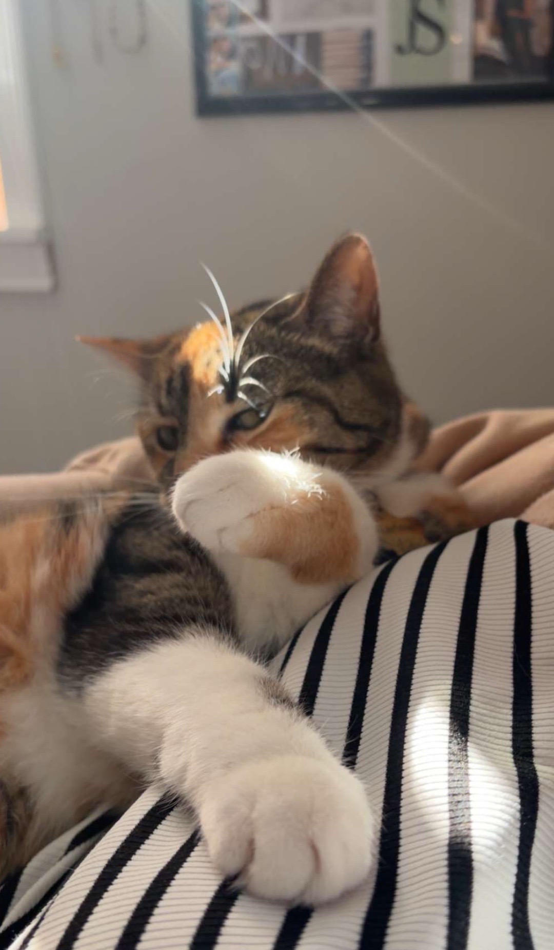 @𝐒𝐄𝐋𝐀𝐇 𝐕𝐈𝐄 ☻