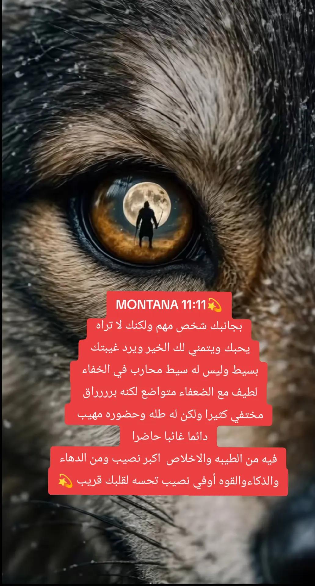 @💫✨☄️ELTWAAFF☄️✨💫