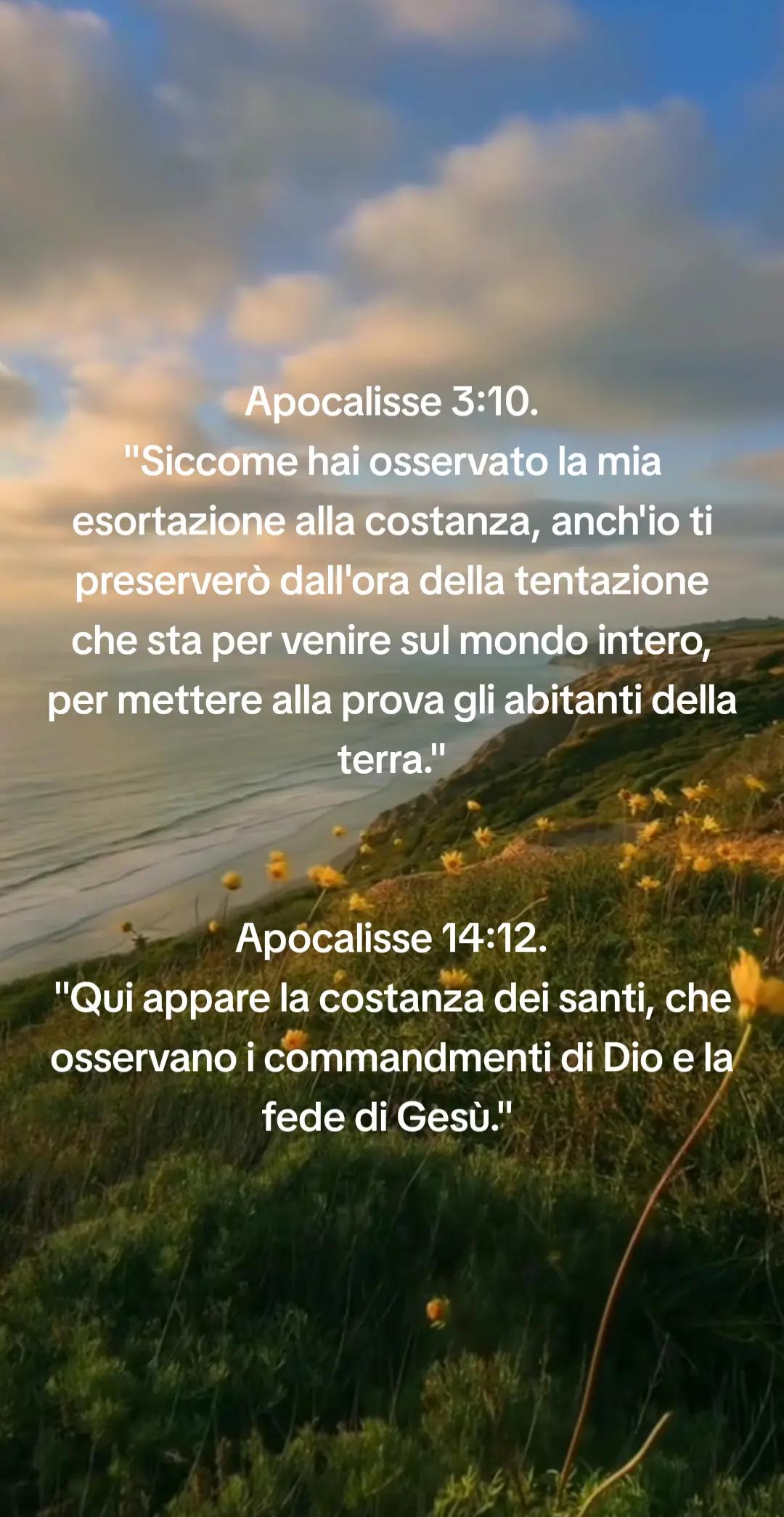 @ALL GLORY TO JESUS!