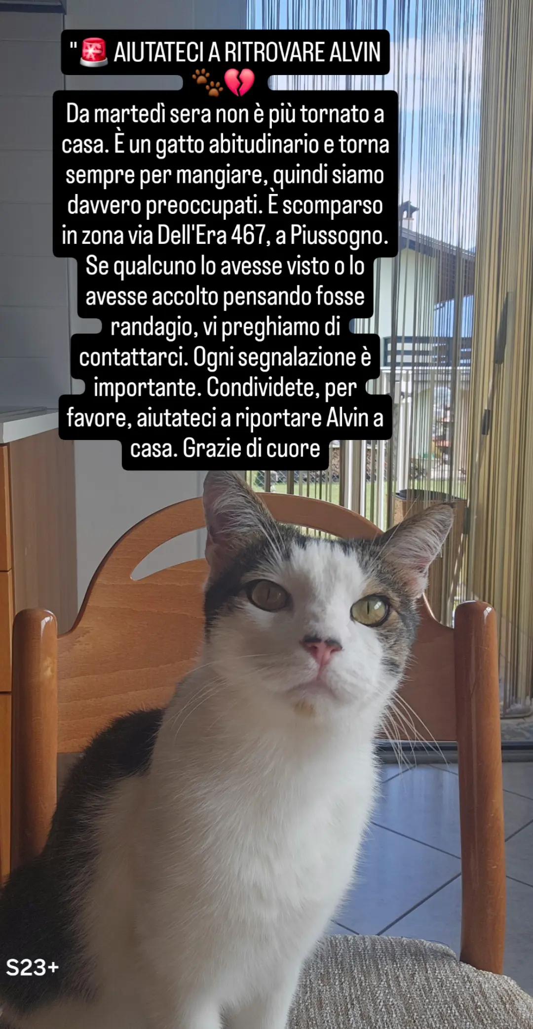 @lucianagiovannoni