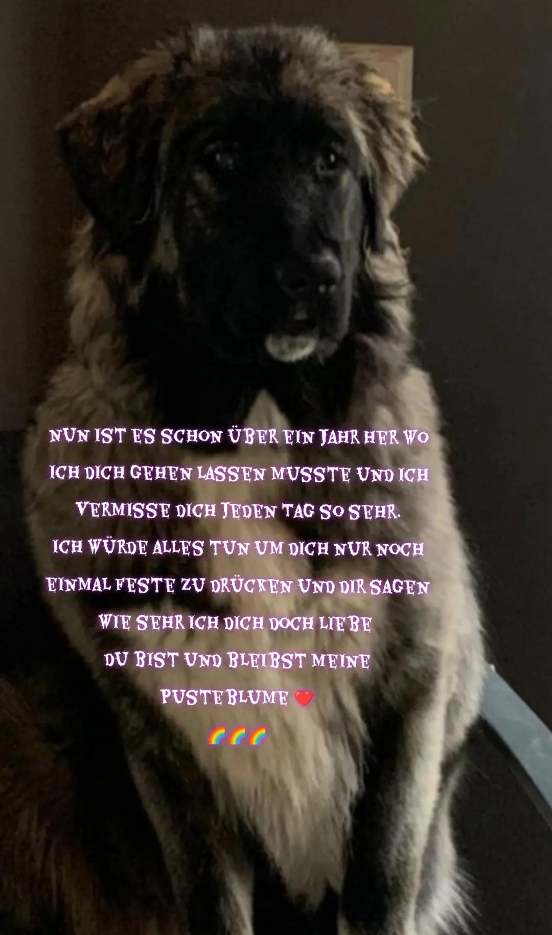 @❤️Nicole❤️