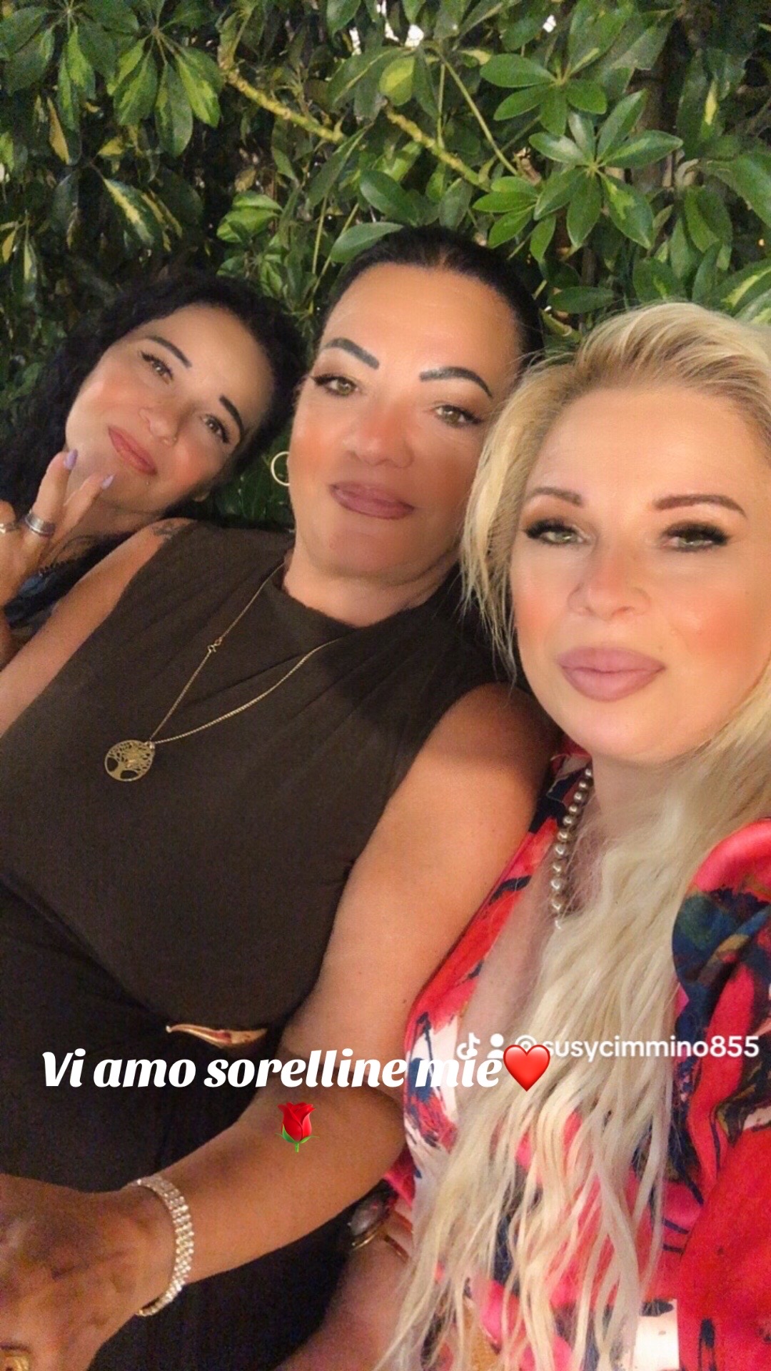 @susycimmino