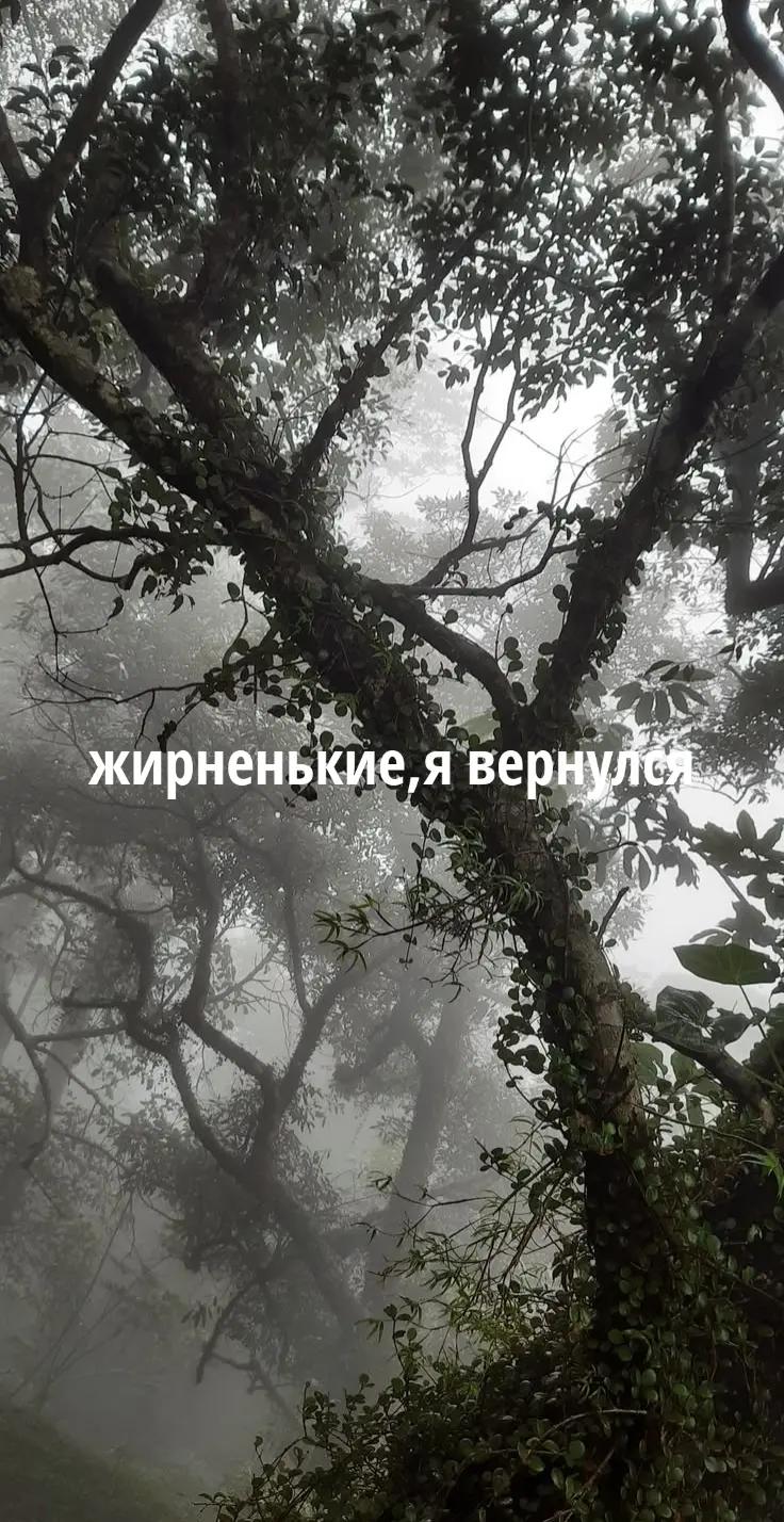 @❁aliideas𝜗𝜚
