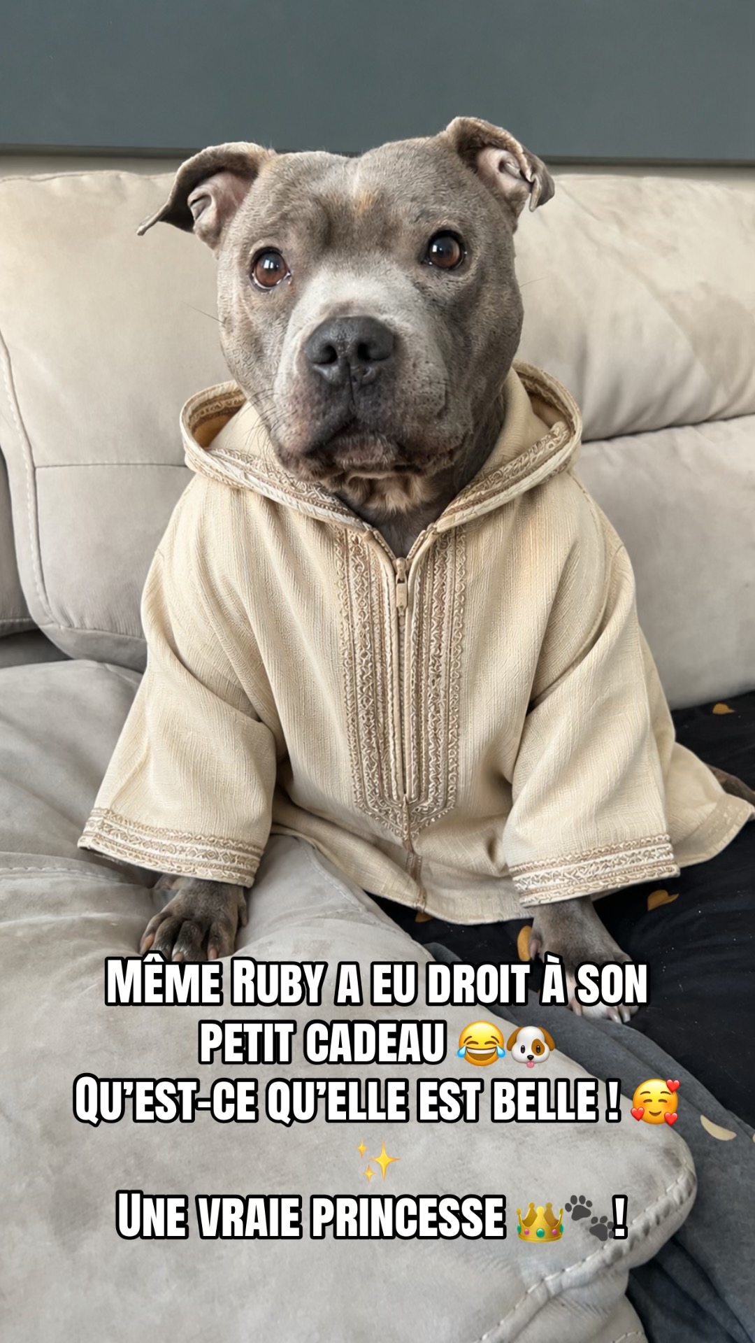 @rubylove_staffie94