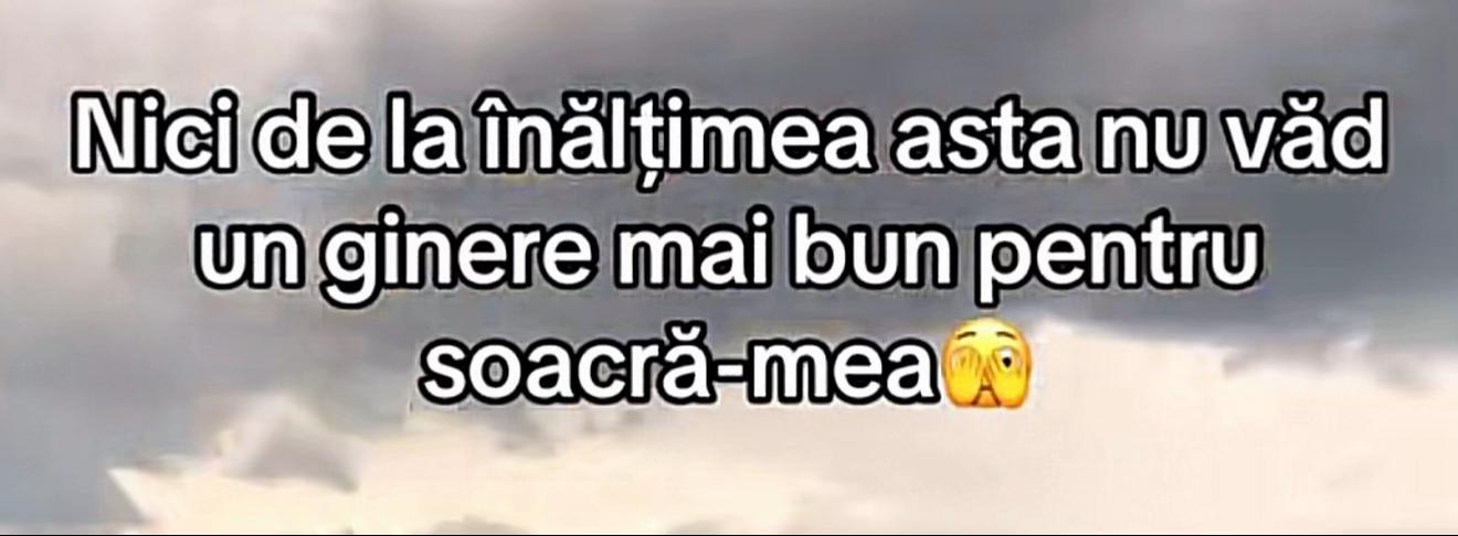 @Andrei🇹🇩🇩🇪