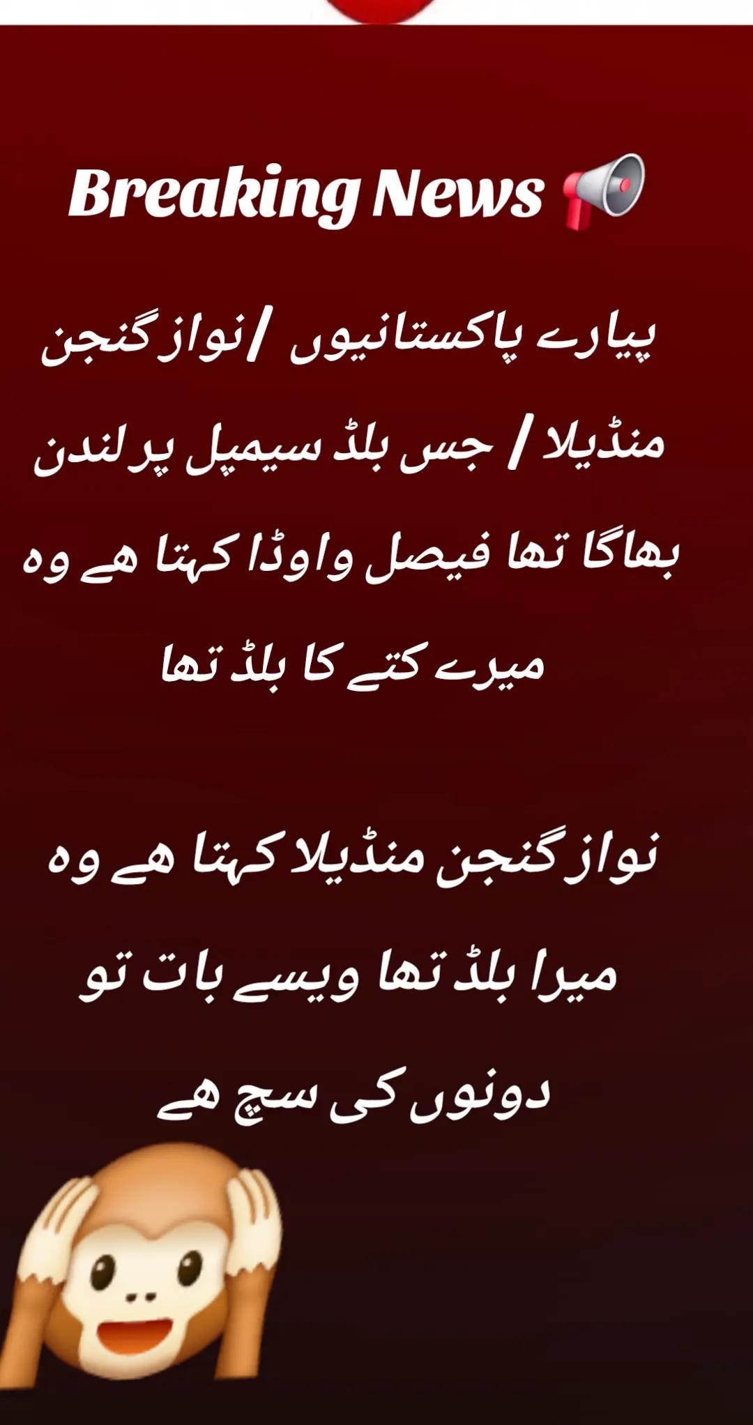 @اڈیالہ 804