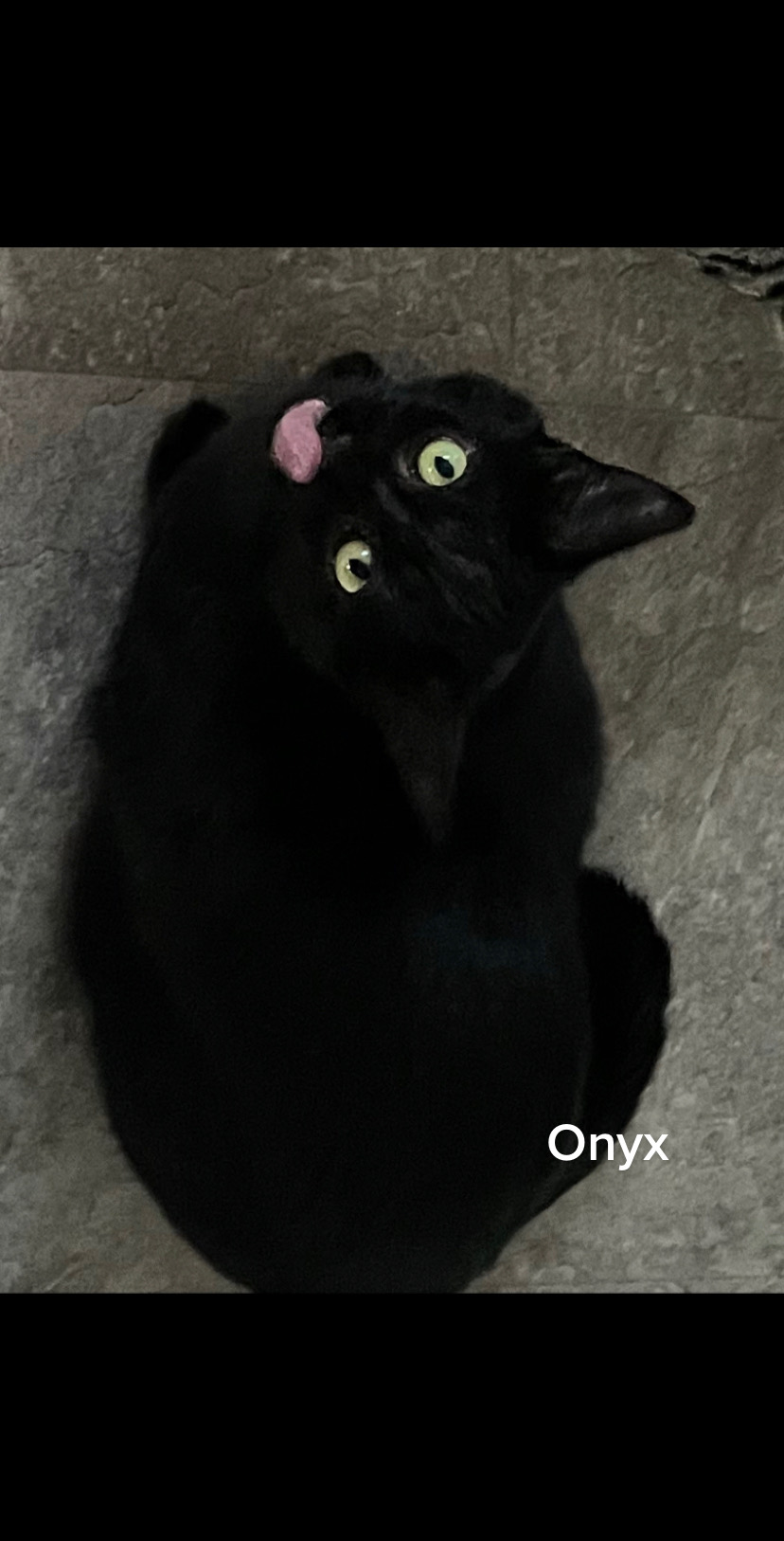 @0xi.stone