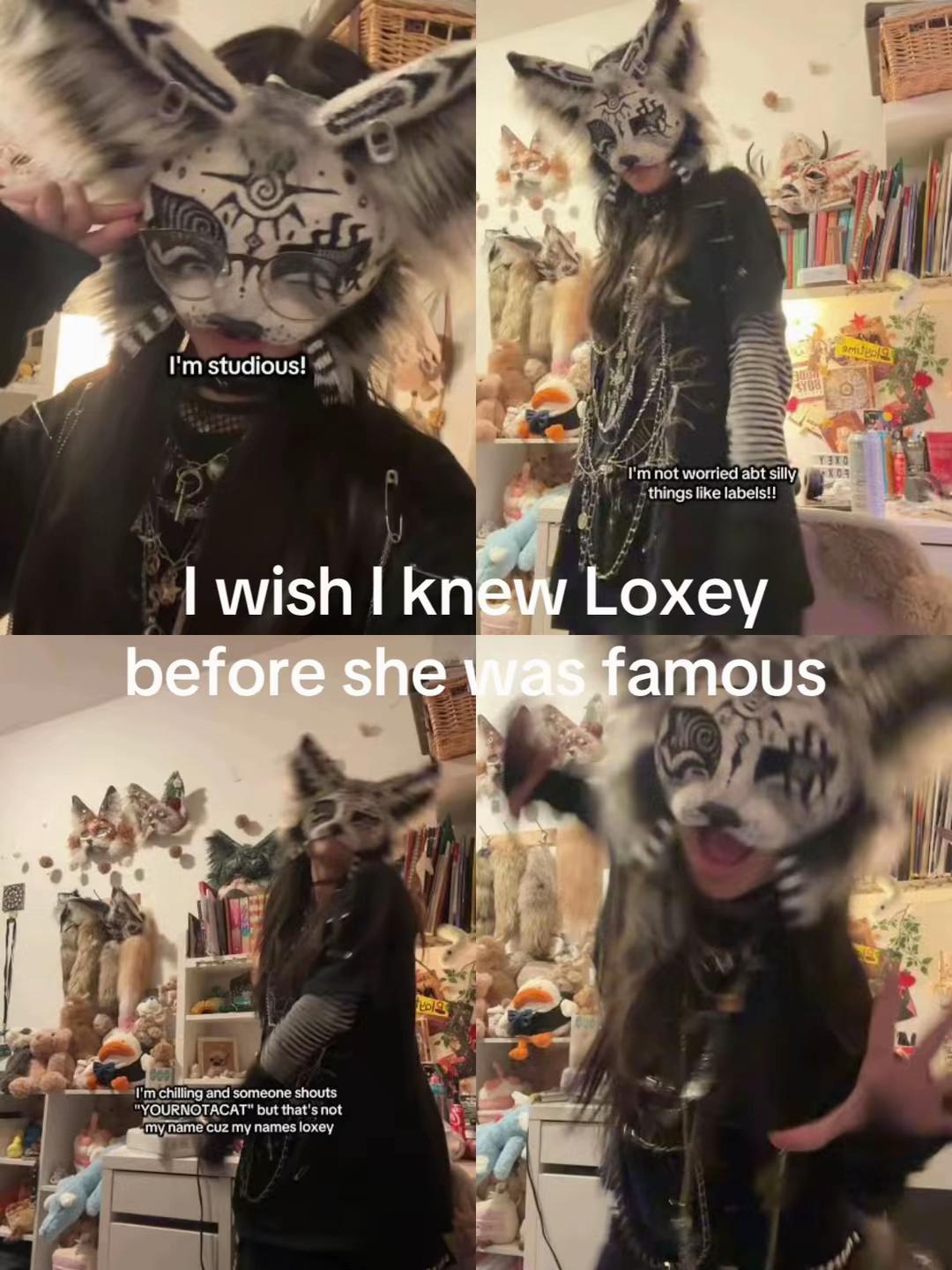 @⋆╶⃝⃤⋆🐾Luna_On_Paws🐾⋆╶⃝⃤⋆