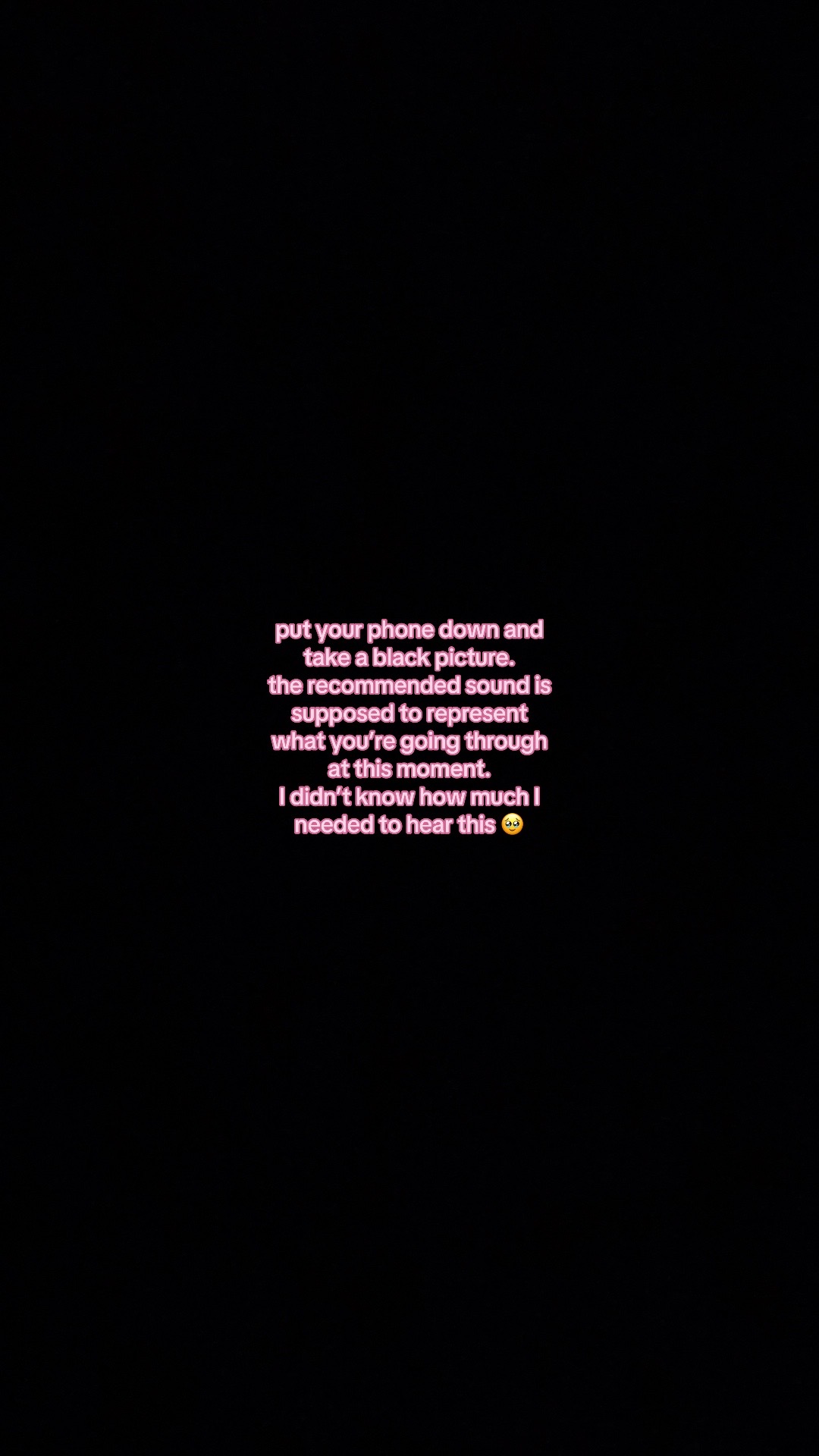 @Ellie Brizuela 🤍 Raleigh, NC