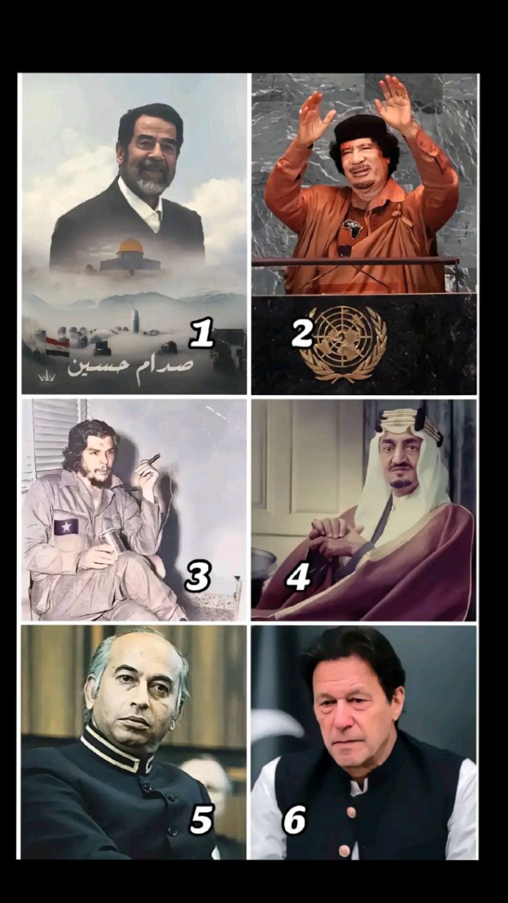 @🦅شانی کھوکھر🦁