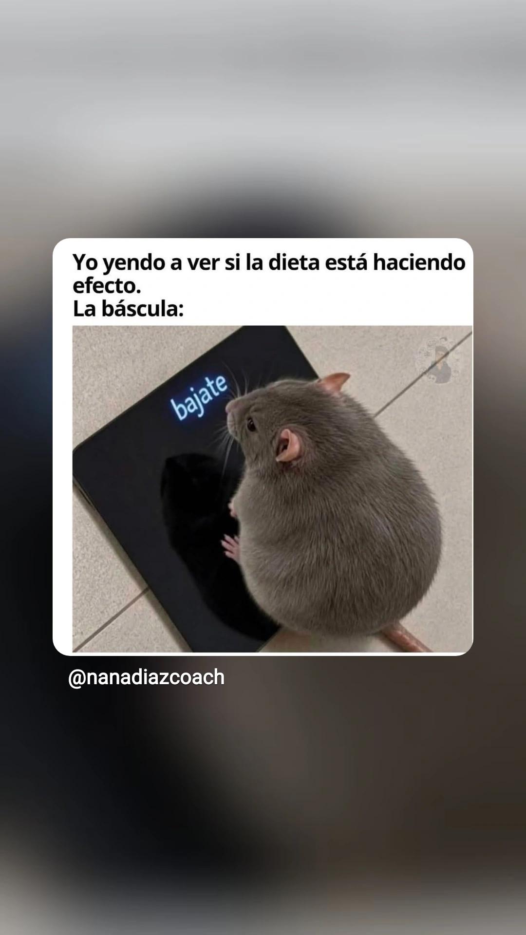 @Serena_Rubio.18