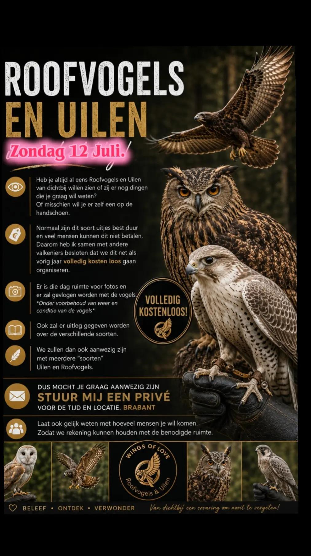 @Birddaddy🦜🦉🦅