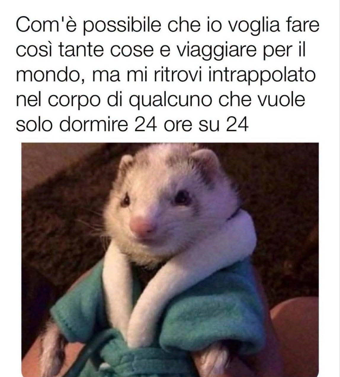 @Mariana🖤