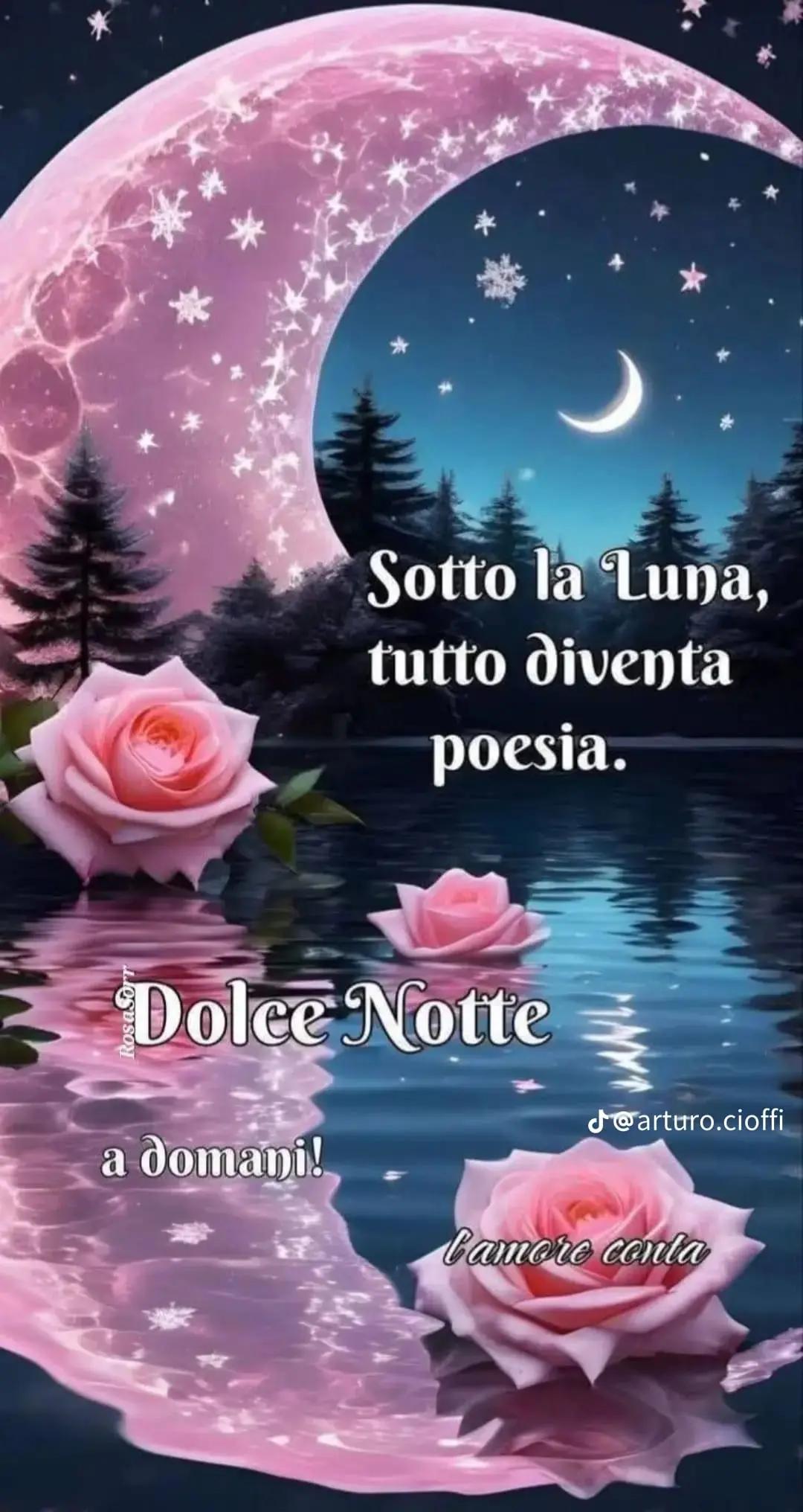 @Silvyia0244