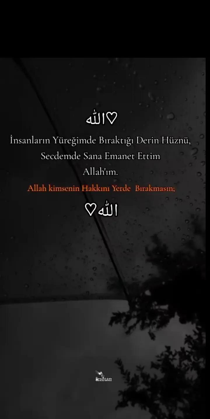 @Ece Soner.02