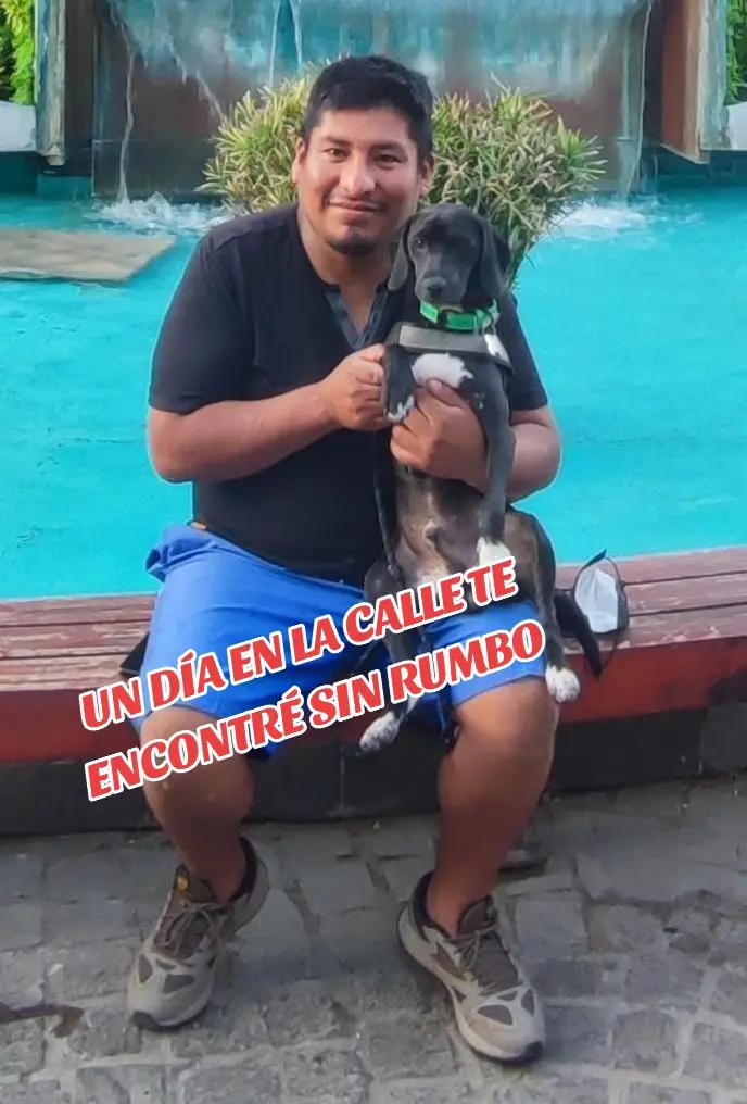 @Luisitolibra