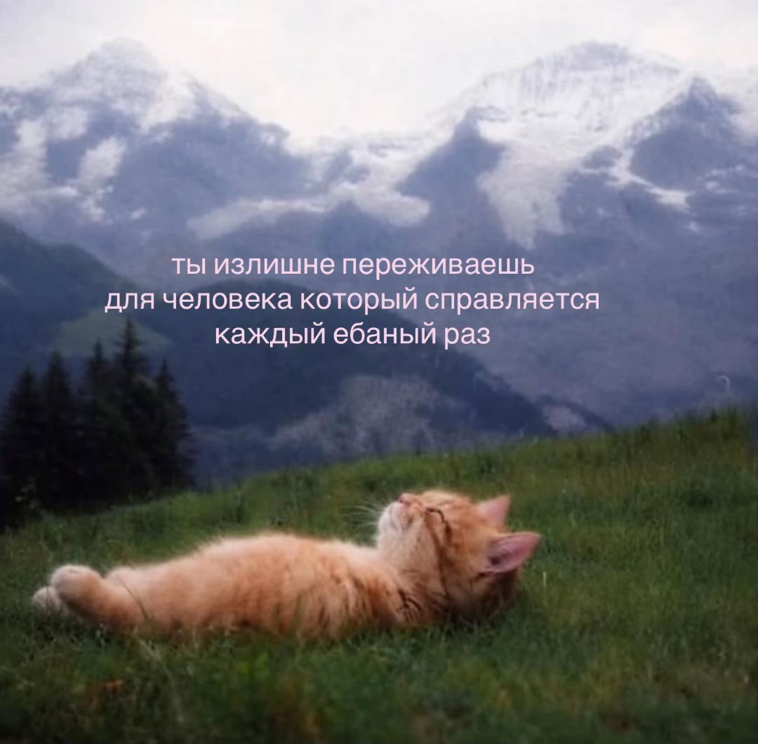 @тг: грустнобезтебя 🪶