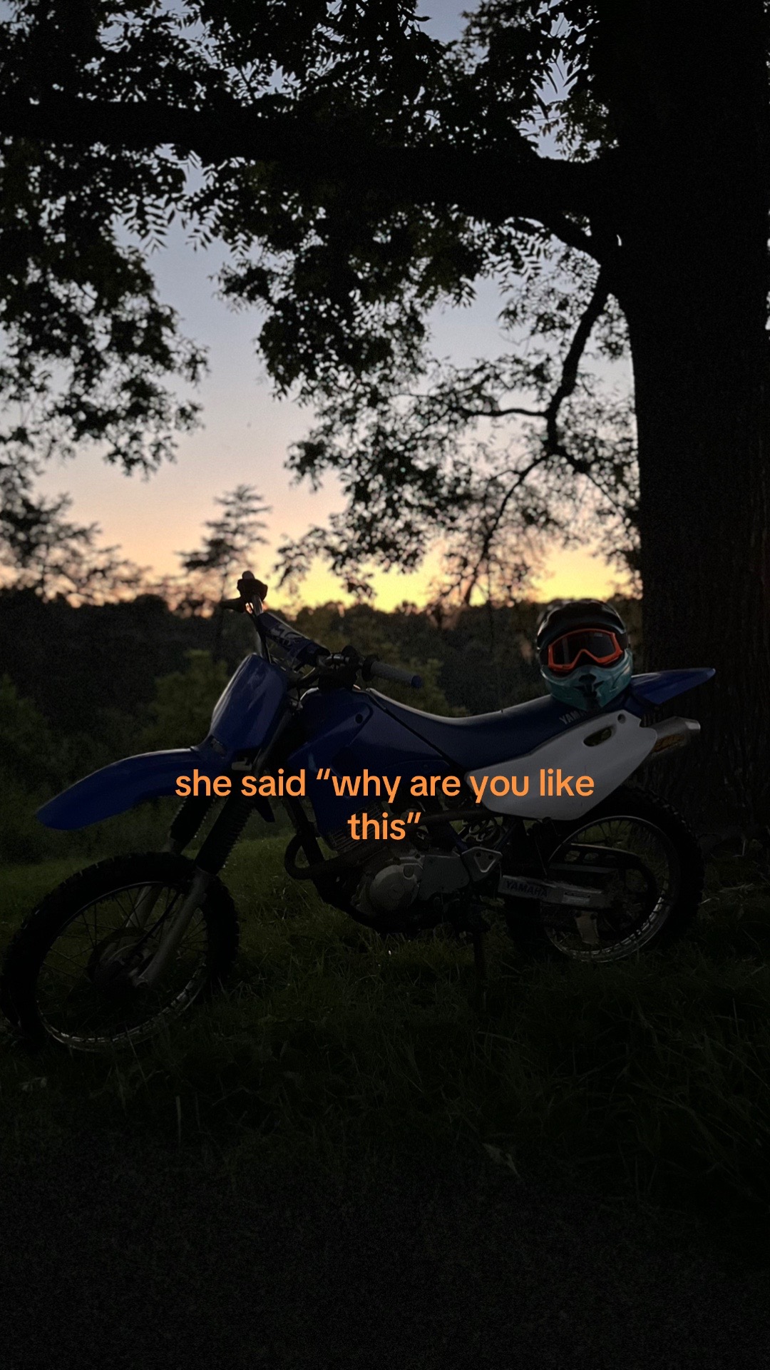 @&Oslash;b&icirc;&ecirc;🪼