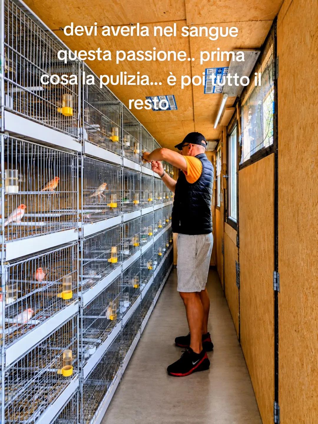 @🇮🇹🇨🇭PEPPE-78