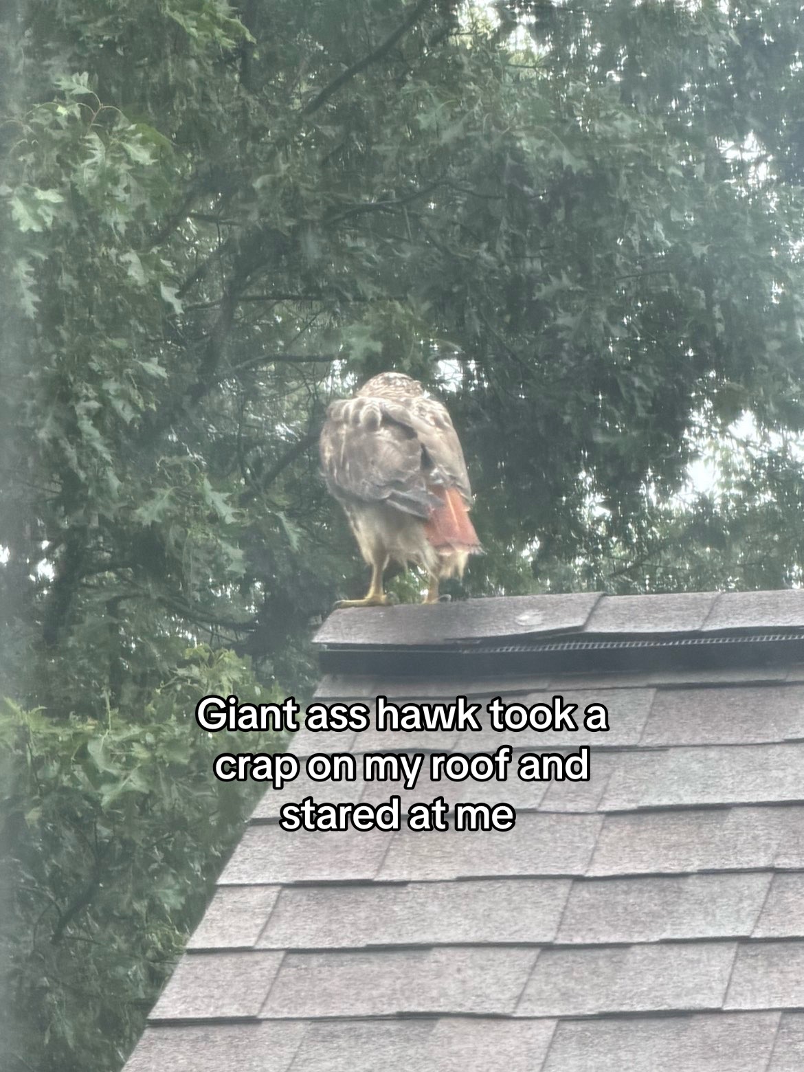 @𝓜𝓪𝓭𝓭𝔂