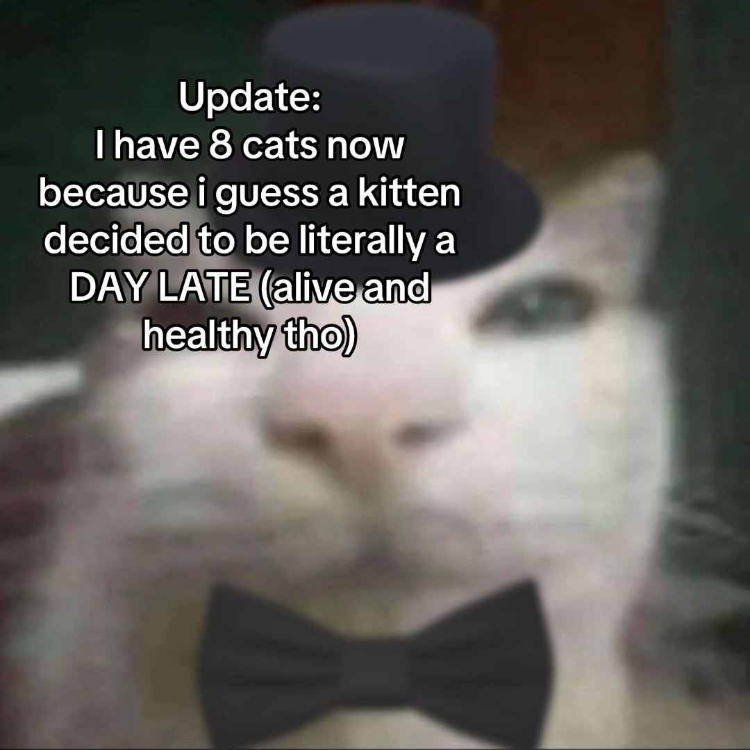 @✧.* 𝓢𝓴𝔂𝓮 ⋆.ೃ࿔*:･ 🫪