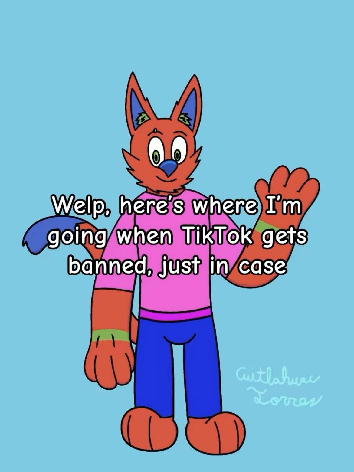 @TheToonyCat (Read Bio)