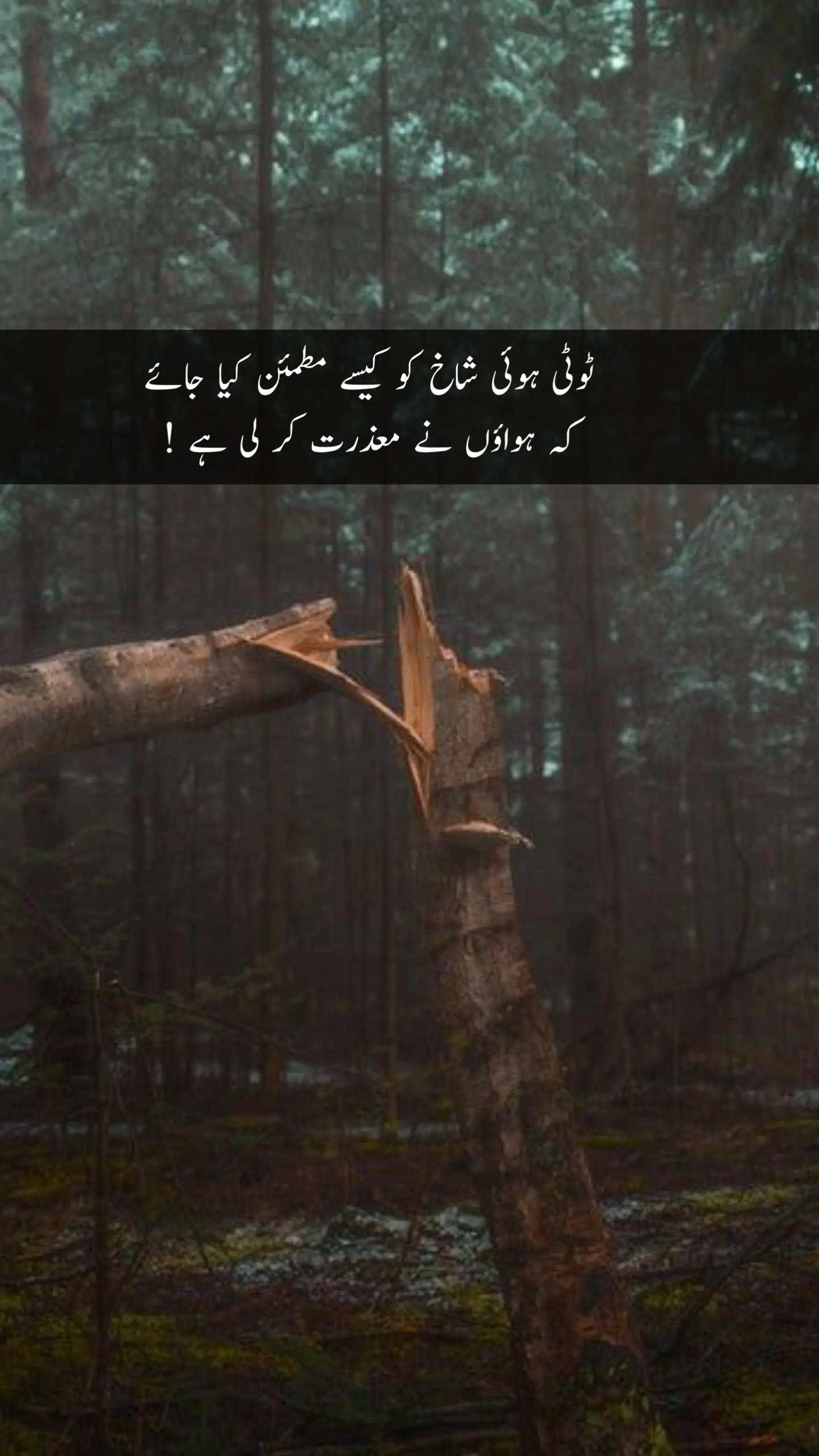 @اہل سخن 🍂