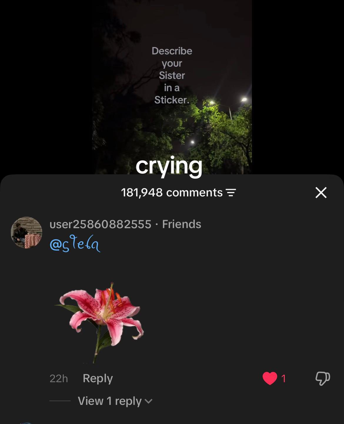 @ᦓꪻꫀꪶꪖ