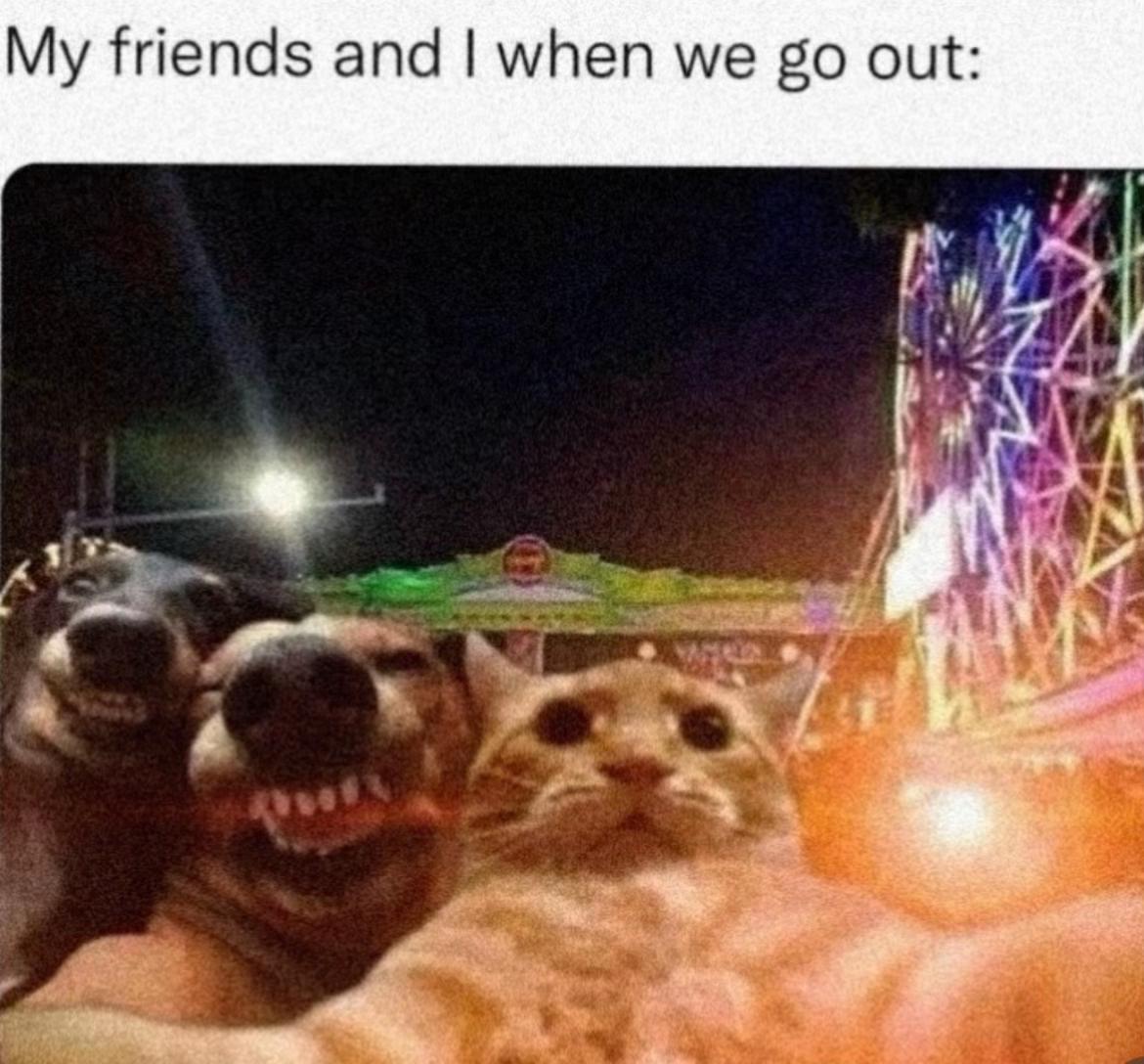 @simsss🐈⬛