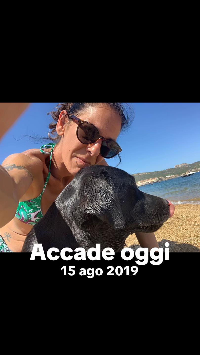 @Gra_Lagra_👑