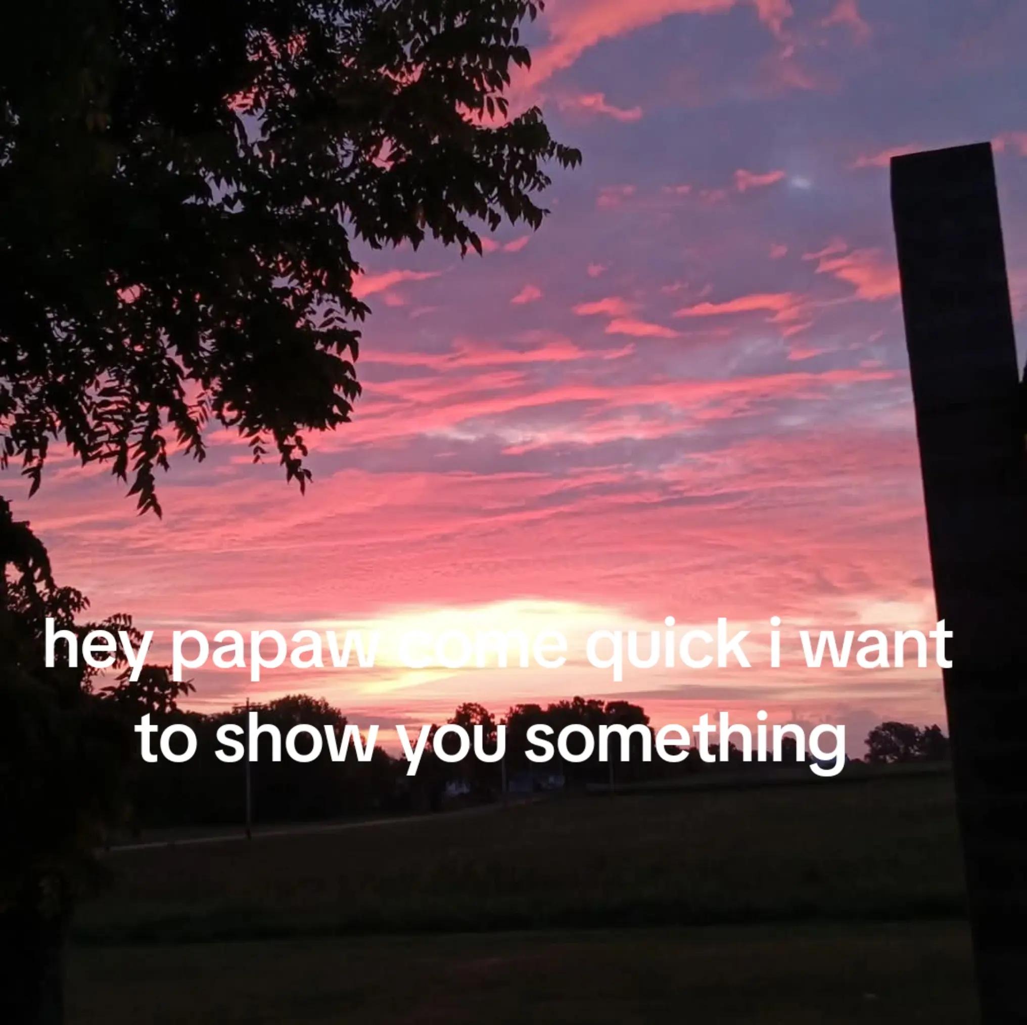 @kenz