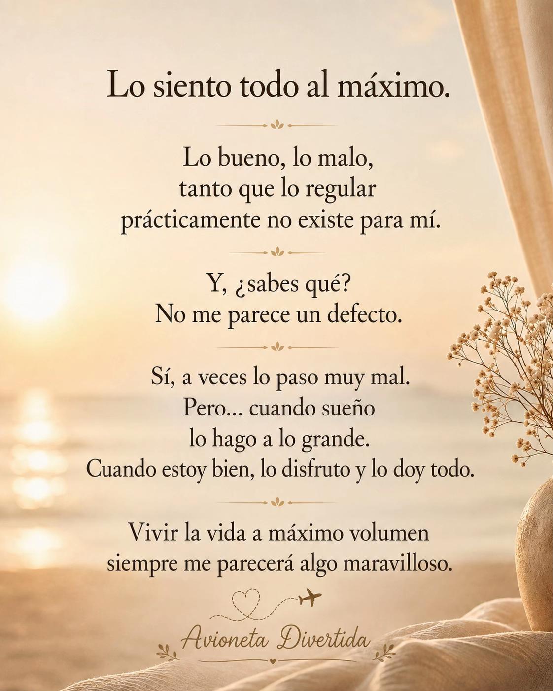 @avioneta_divertida