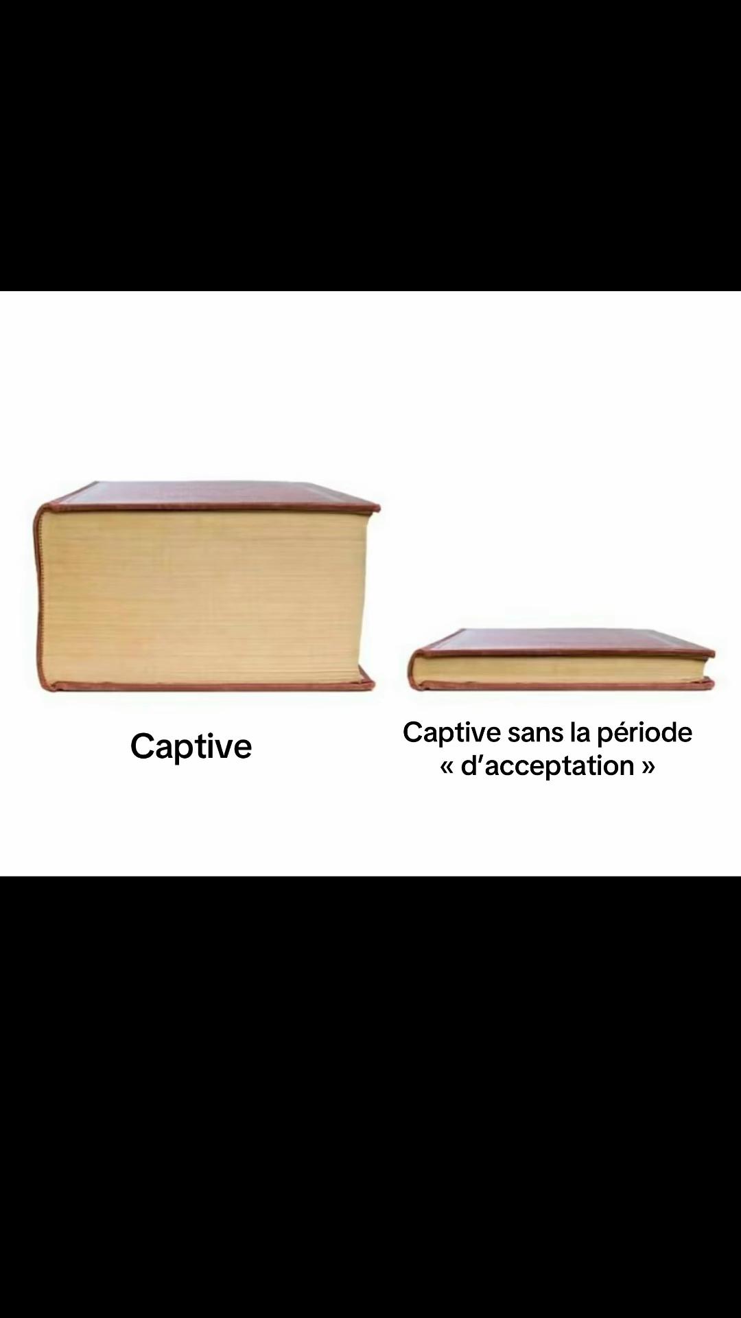 @📚