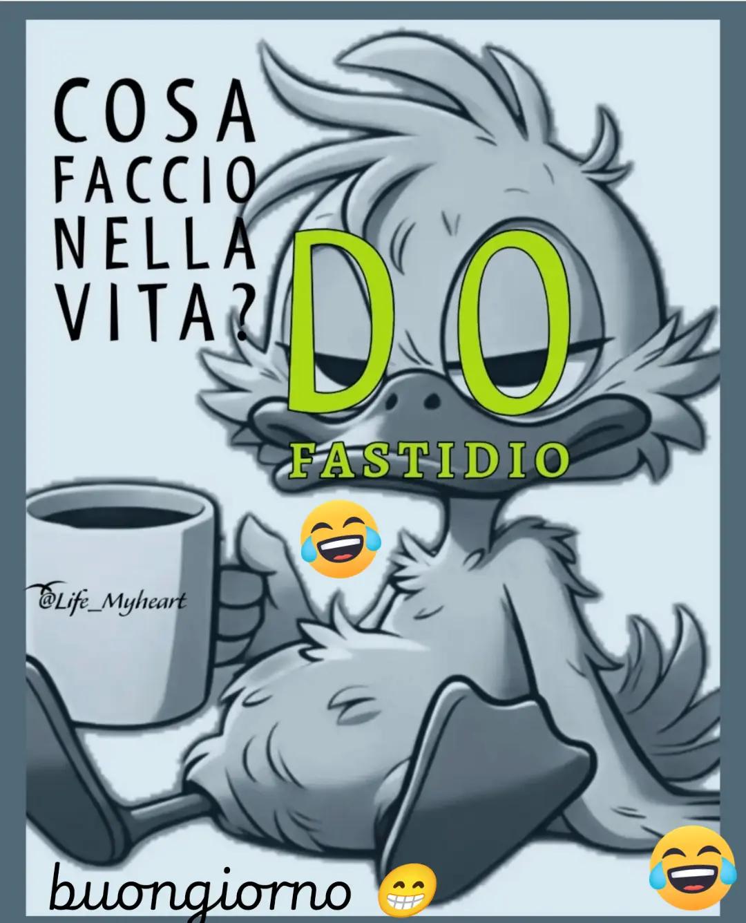 @bellabenni1967