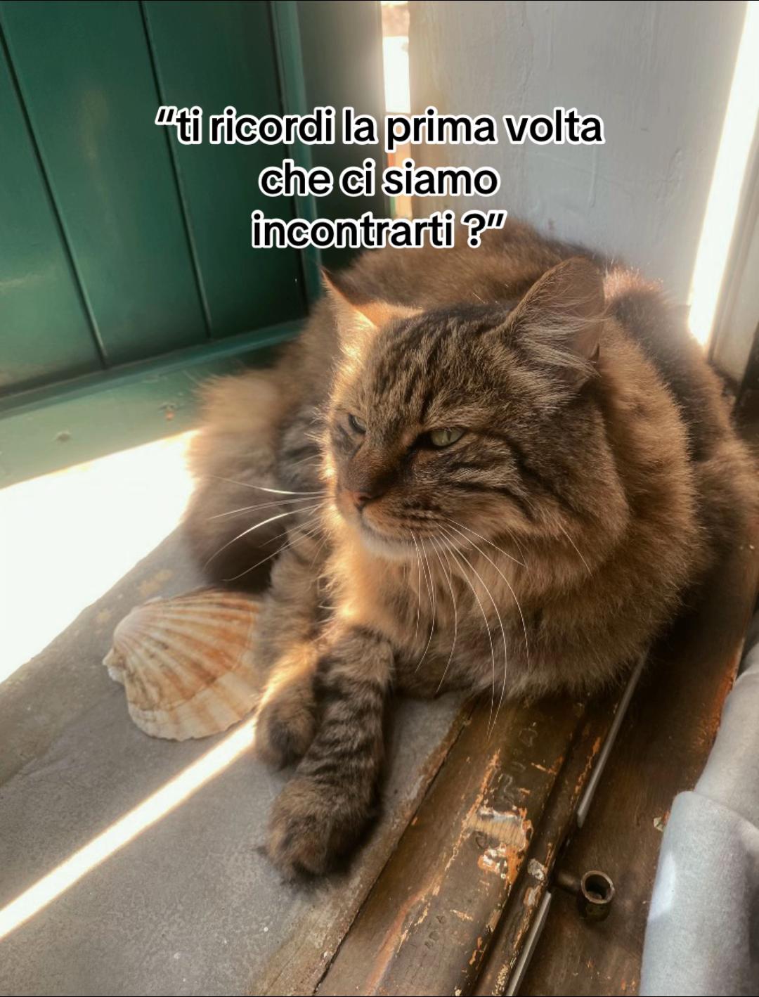 @𝓖𝓲𝓾𝓵𝓲⚕️
