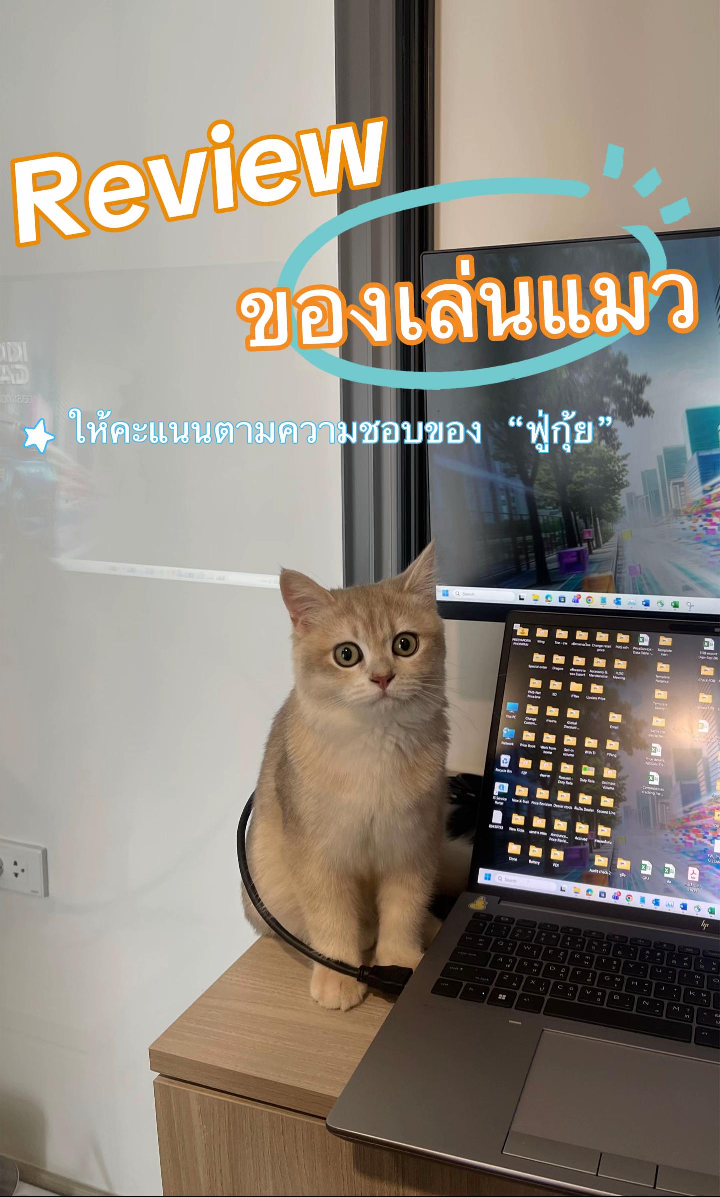 @ฟู่กุ้ย Fugui