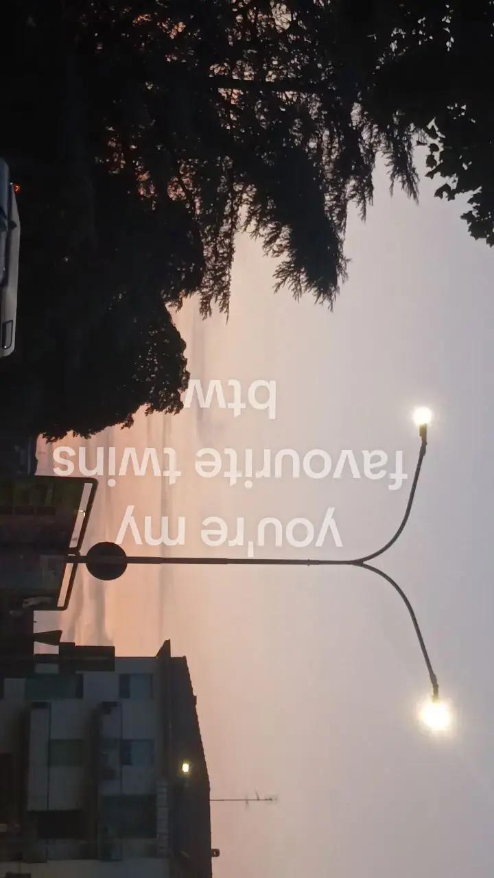 @~I🌴