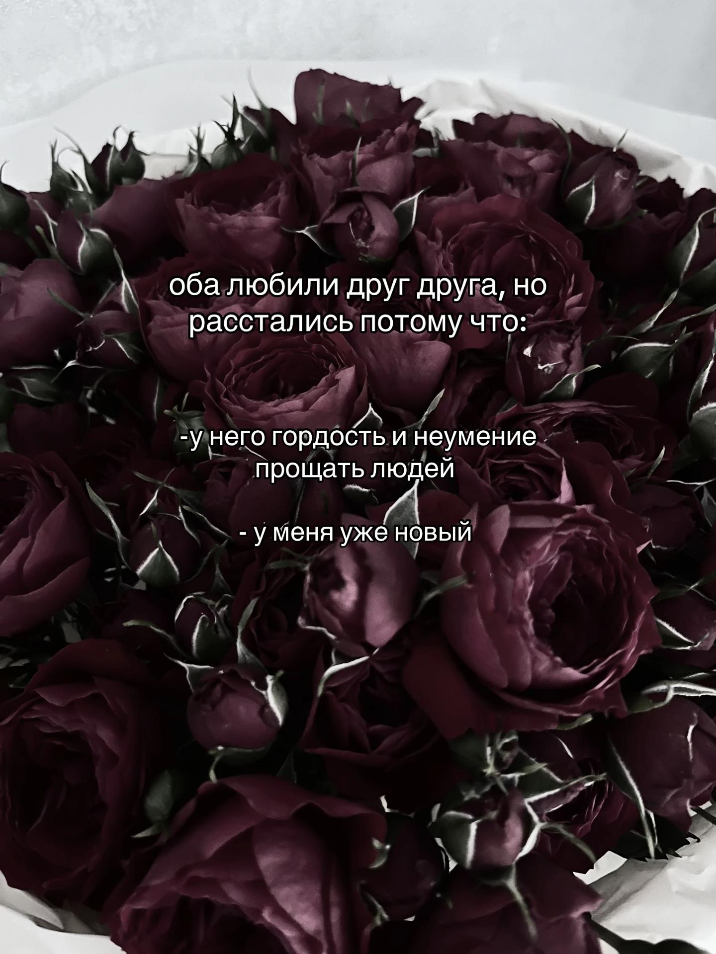 @тгк:ржавая🦄🐈&zwj;⬛